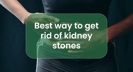 Cholesto Fit Juice for heart health and cholesterol support – Ayurvedic herbal juice by KingVedaa