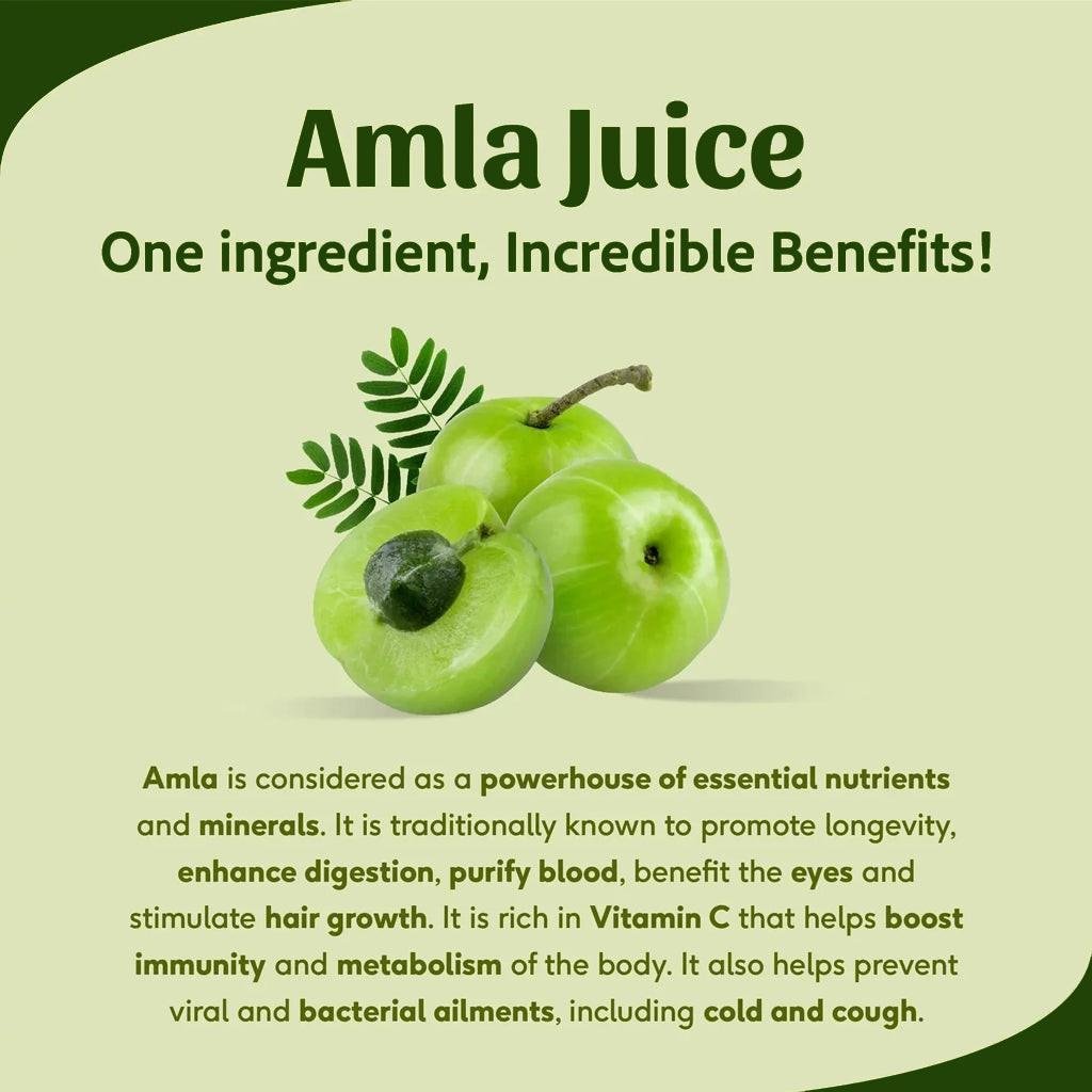 Amla Juice benefits showing rich vitamin C for immunity, improved digestion, detox, healthy hair growth and overall wellness